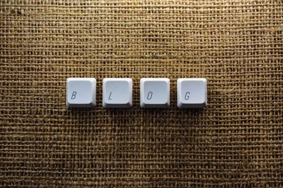 Illustration of How Niche Selection Quietly Shapes a Blog's Long-Term Success